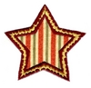 Star Applique