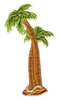 Palm Trees