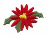 Single Poinsettia Flower