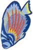 Tropical Fish