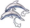 Dolphins Jumping