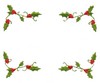 Holly Border