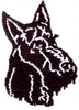 Terrier