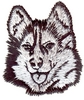 Huskie Dog