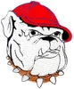 Bulldog
