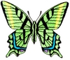 Butterfly - smaller