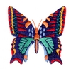 Butterfly 3