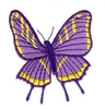 Butterfly 10
