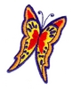 Butterfly 5