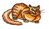 Snarling Cat