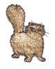 Fluffy Cat
