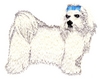 Maltese Terrier