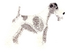 Fox Terrier (Wire Haired)