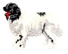 Newfoundland Dog (Landseer)