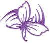 Butterfly Swoosh Outline