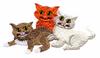 Three Bright Eyed Kittens