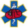 Firefighter/Paramedic Star of Life