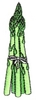 Asparagus Spears