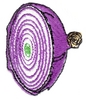 Purple Onion Cut
