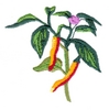 Chili Peppers