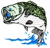 Jumping Big Mouth Bass
