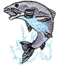 Jumping Fish