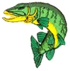 Muskie