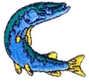 Pike Fish