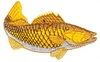 Walleye