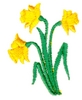 Daffodils