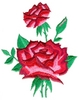 Floribunda Roses