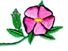 "Wild Rose, of Alberta"