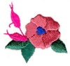 Wild Rose and Buds