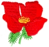 Poppy