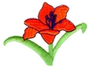 Lily Flower