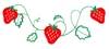 Strawberry border