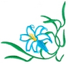 Lily Corner border - smaller