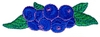 Blueberries
