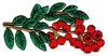 Wild Berries