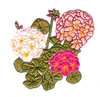 Geraniums