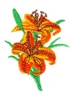 Tiger Lilies