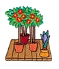 Potted Plants
