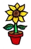 Potted Sunflower