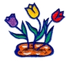 Three Tulips