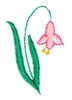 Daffodil