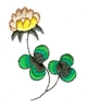 Clover