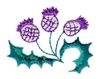 Thistle