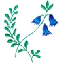 Bluebells