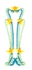 Five Tulip Pattern