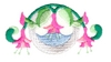 Fuchsia Pattern